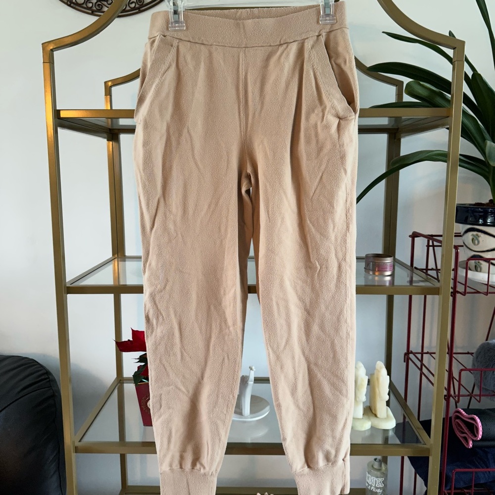 Aritzia sweat pants